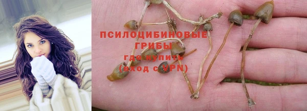 ALPHA-PVP Горнозаводск