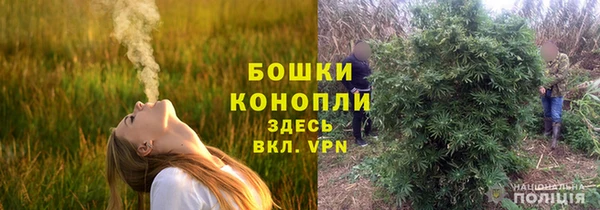 ALPHA-PVP Горнозаводск
